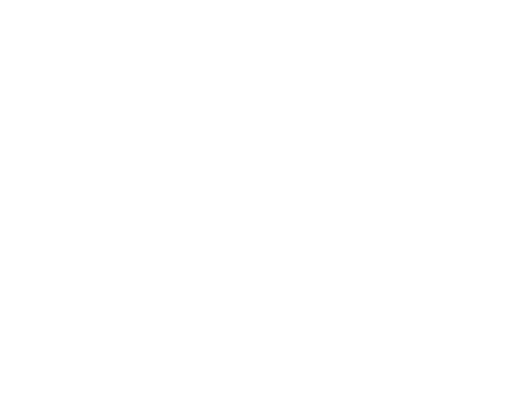 Brainport Brainport