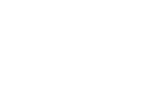 Budweiser Budweiser