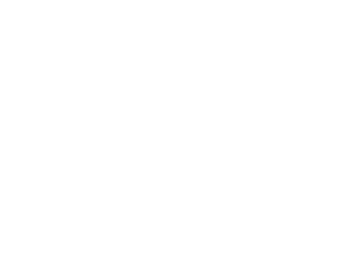 KNVB KNVB