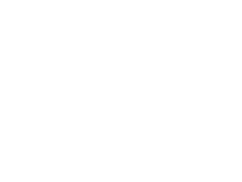 PSV PSV