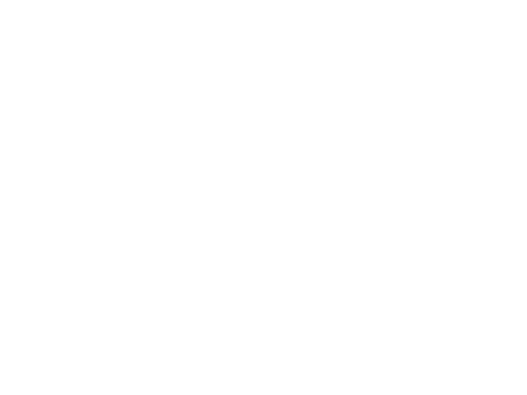 Puma Puma